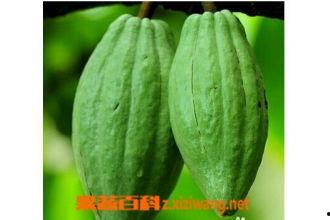 酱佛手瓜怎么吃,家常美味，简单易学的烹饪秘籍