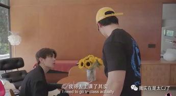 vlog吃瓜看剧,吃瓜看剧，揭秘娱乐圈幕后故事