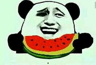 吃瓜哪能买,吃瓜爱好者必看！轻松选购优质瓜果指南