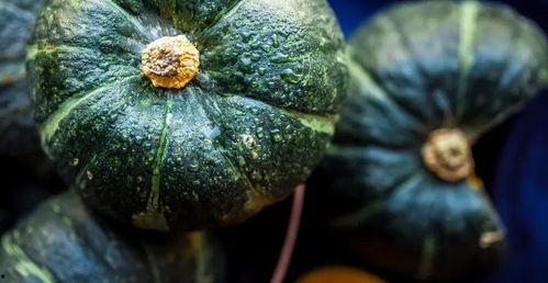 吃的都是好瓜,品味生活中的甜蜜滋味