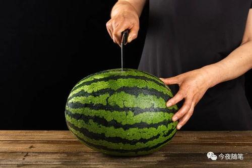 吃瓜妙招节目,揭秘吃瓜妙招节目精彩瞬间