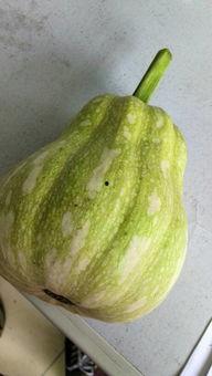 镇平吃瓜什么梗,揭秘网络热梗背后的故事与影响