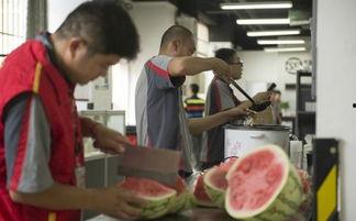 吃瓜快递小哥,揭秘快递行业的酸甜苦辣